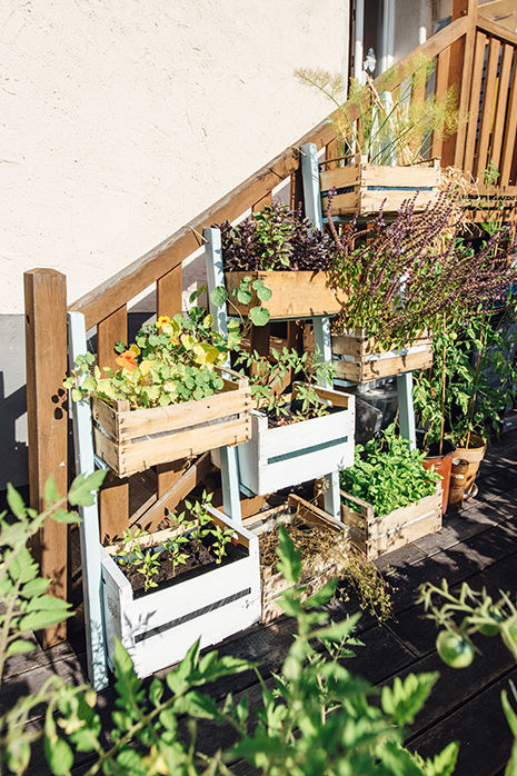 Réfléchir en hauteur : avec le « jardinage vertical », vous exploitez au mieux l'espace d'une petite terrasse